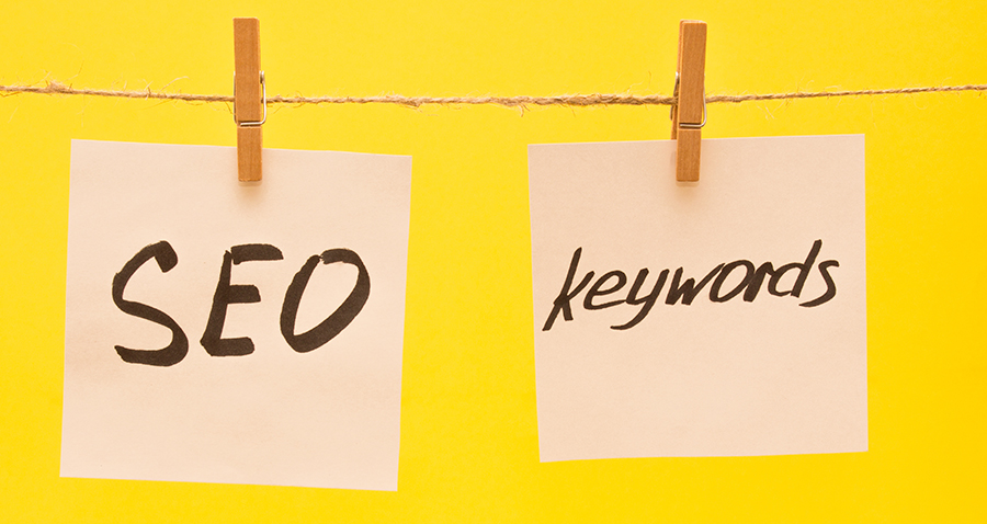 North Brunswic SEO Agency
